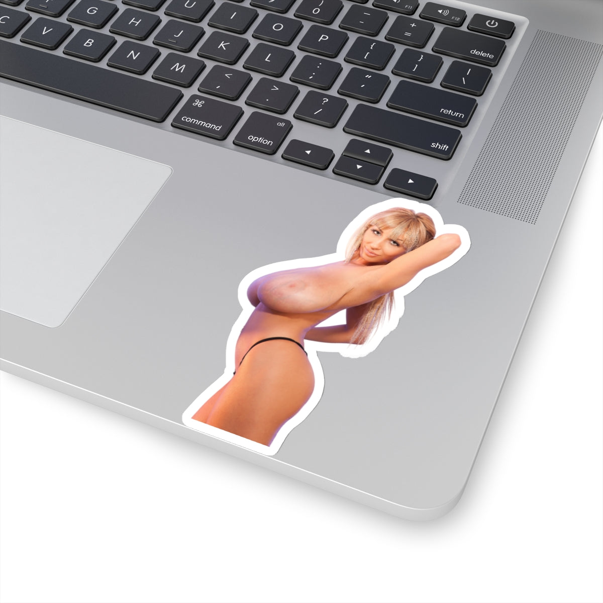 Sexy Girl Sticker Big Tits Women Pinup Model Uncensored Adult Laptop Water Bottle Vinyl Stickers E500