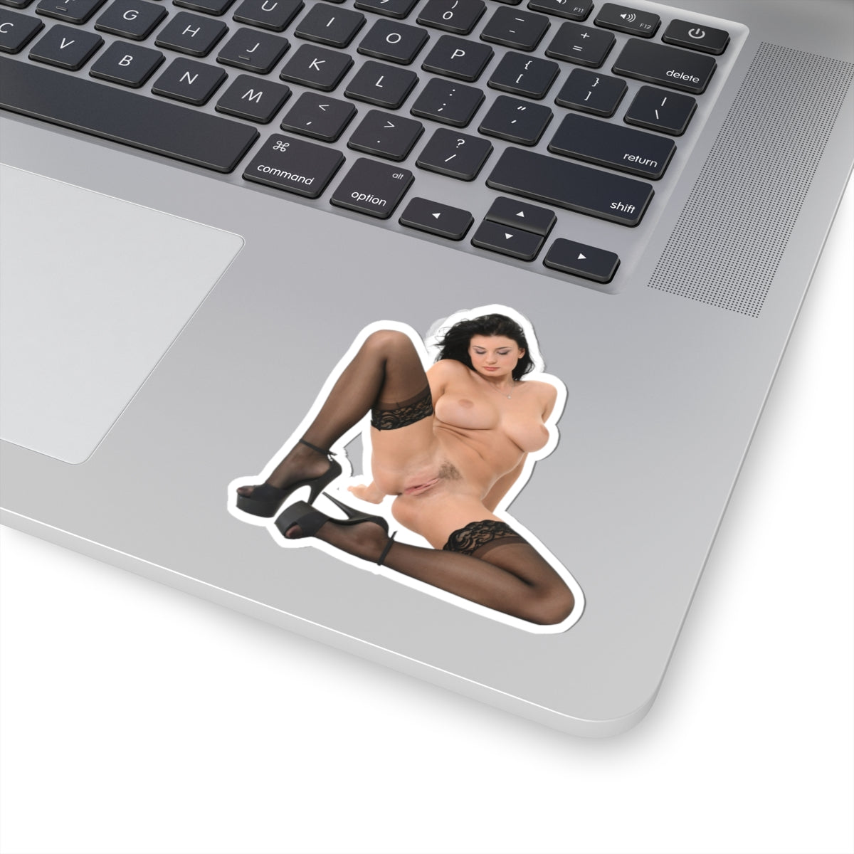 sexy brunette sticker big tits women pinup model stickers
