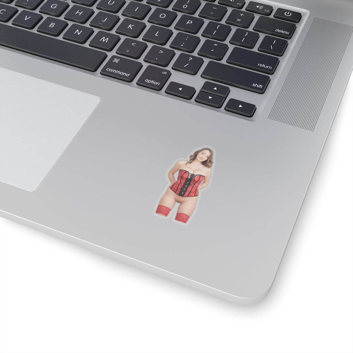Naked Women Sticker Sexy Girl Adult Stickers