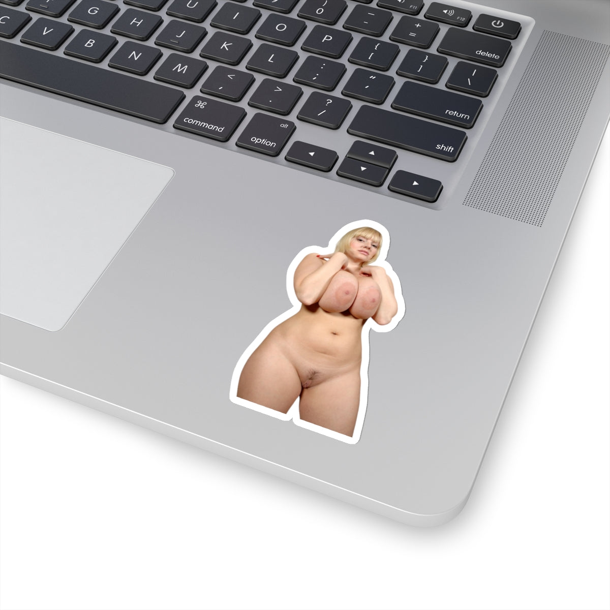 Pretty Model Sticker,Pinup Stickers,Adult Stickers For Men,Naked Girl,Nude Women,Uncensored Adult Stickers,E668