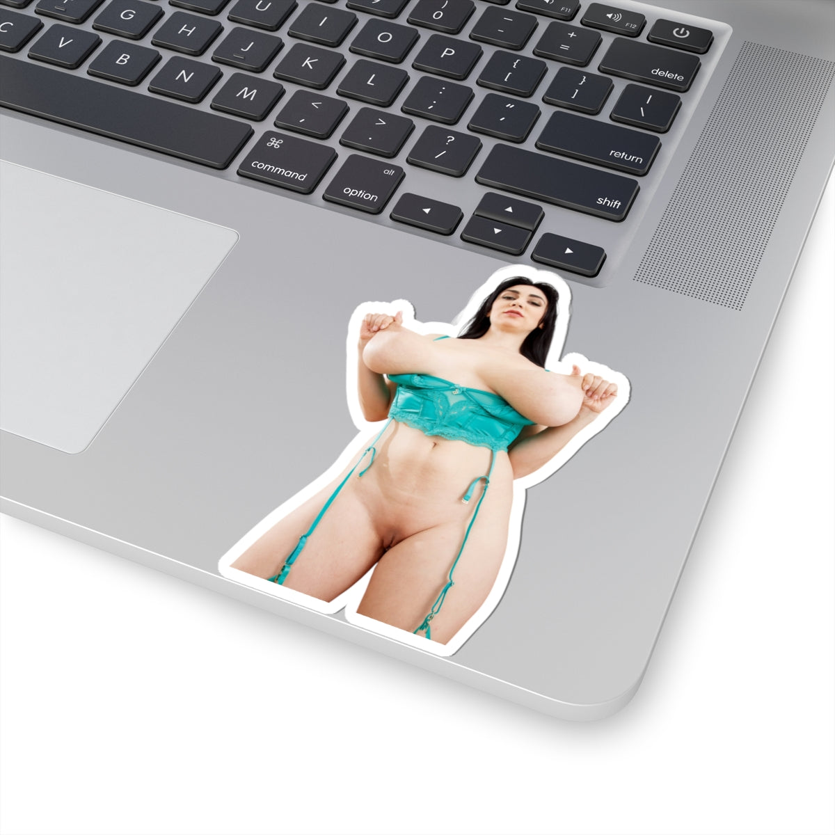 Sexy Girl Sticker Big Tits Women Pinup Naked Uncensored Stickers