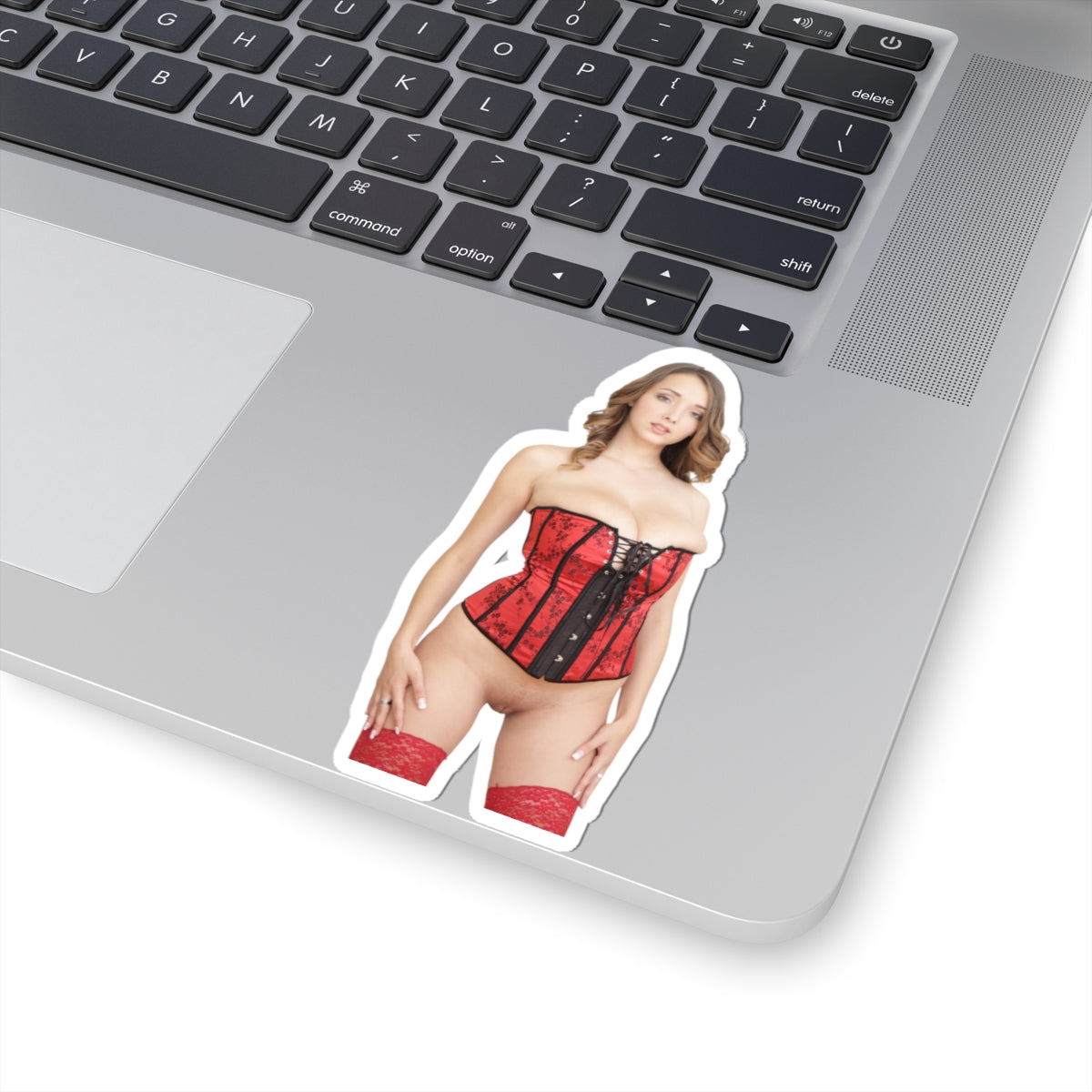 Naked Women Sticker Sexy Girls Adult Stickers