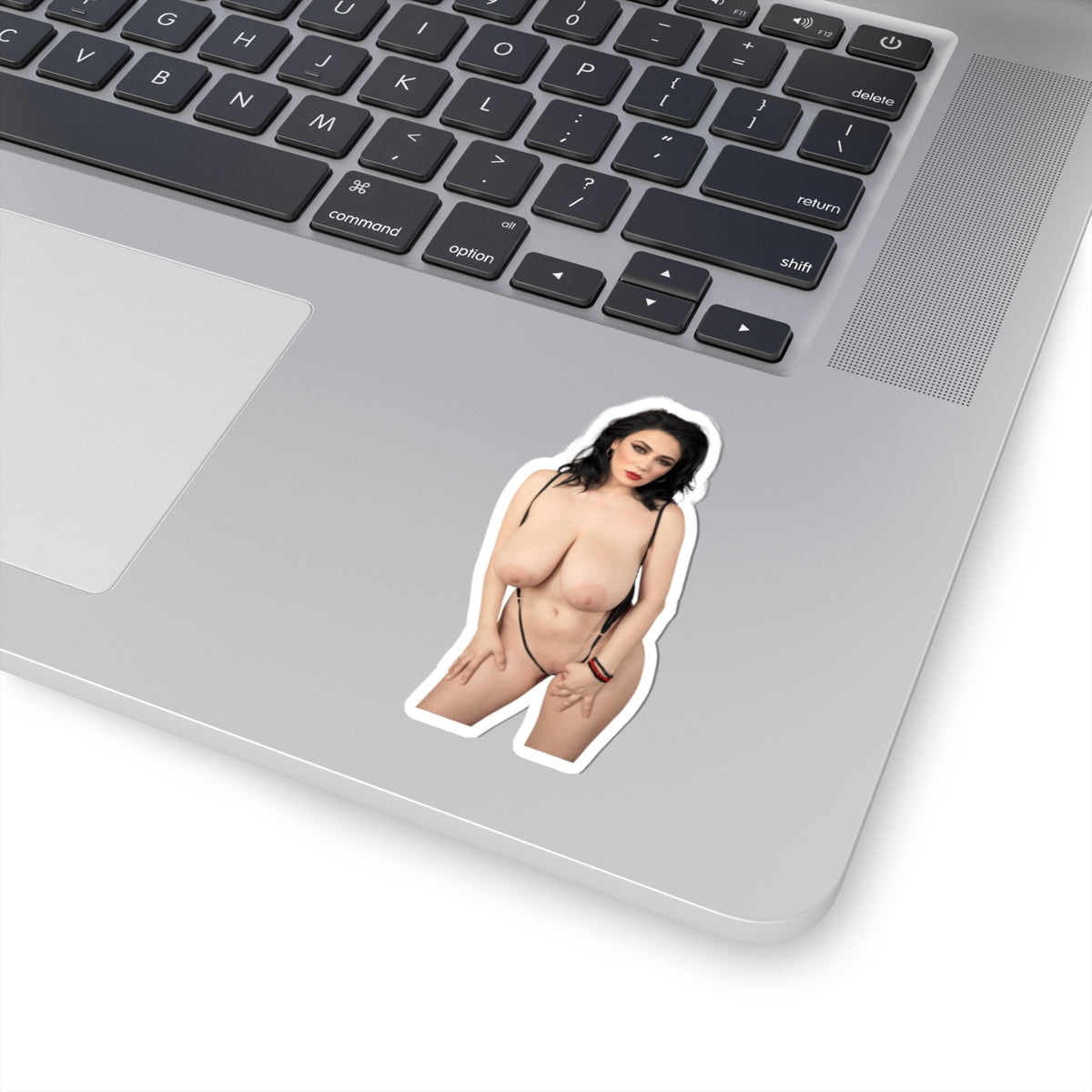 Adult Stickers Big Boobs Sexy Girl Sticker