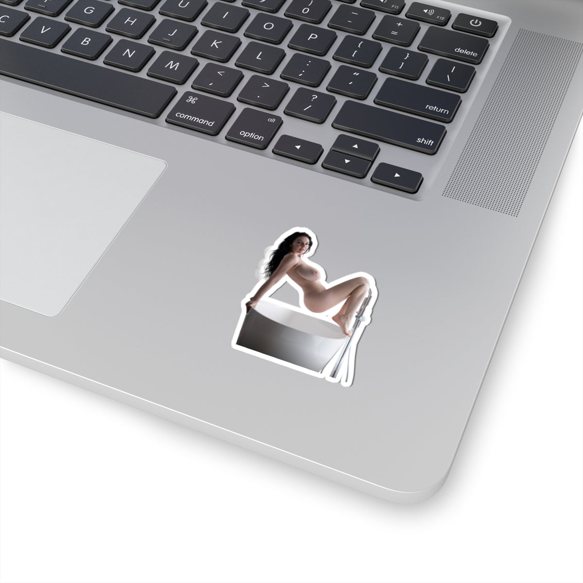 Big Tits Laurine Model Stickers Sexy Women Sticker