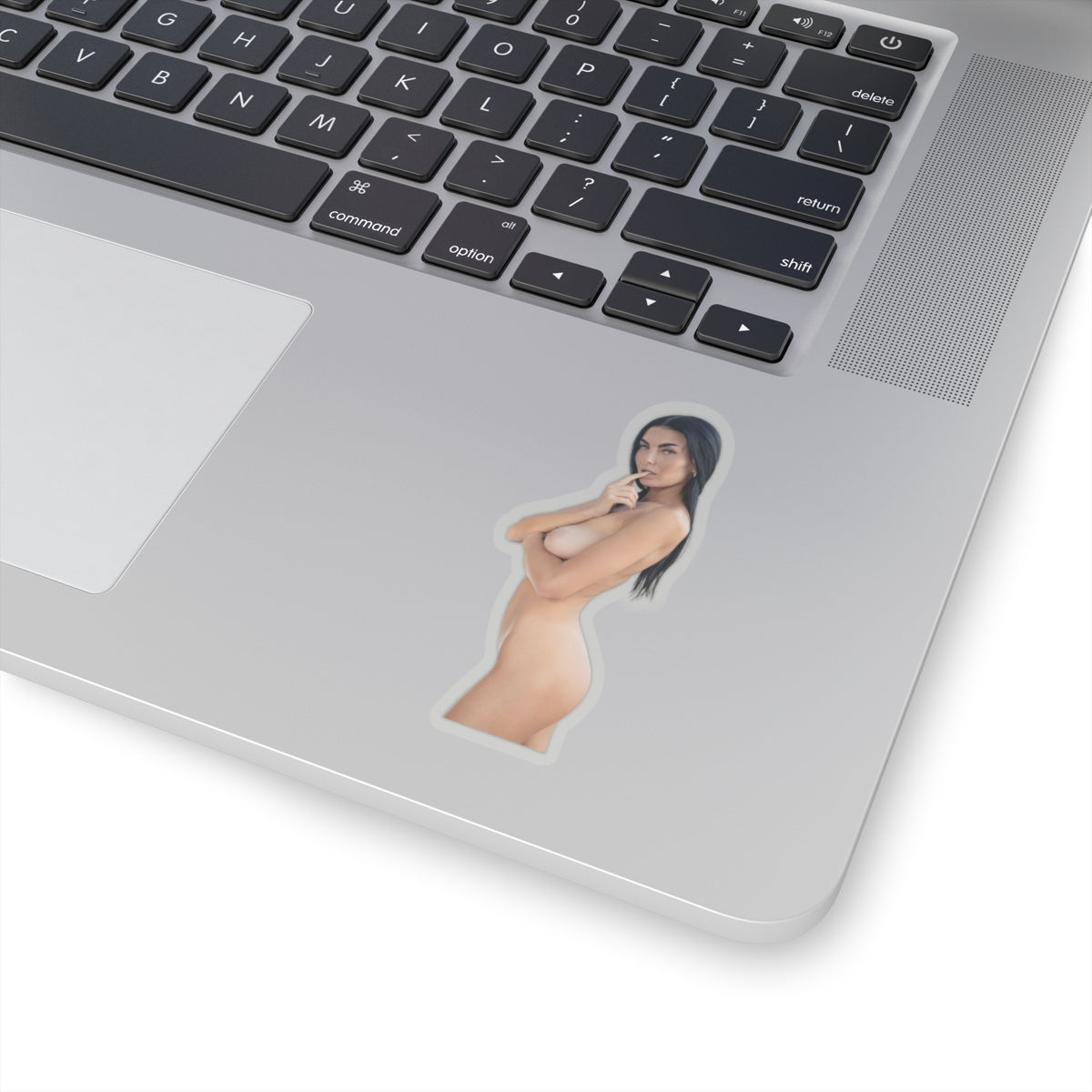 Pinup Model Sticker 2