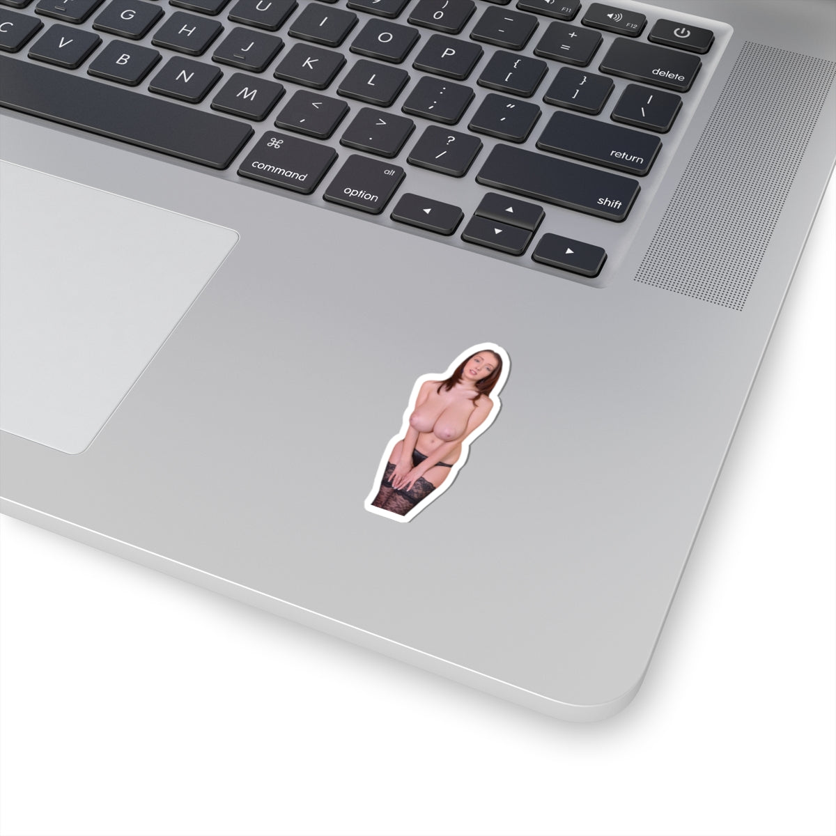 Busty Buffy Big Tits Model Sticker Pinup Uncensored Stickers
