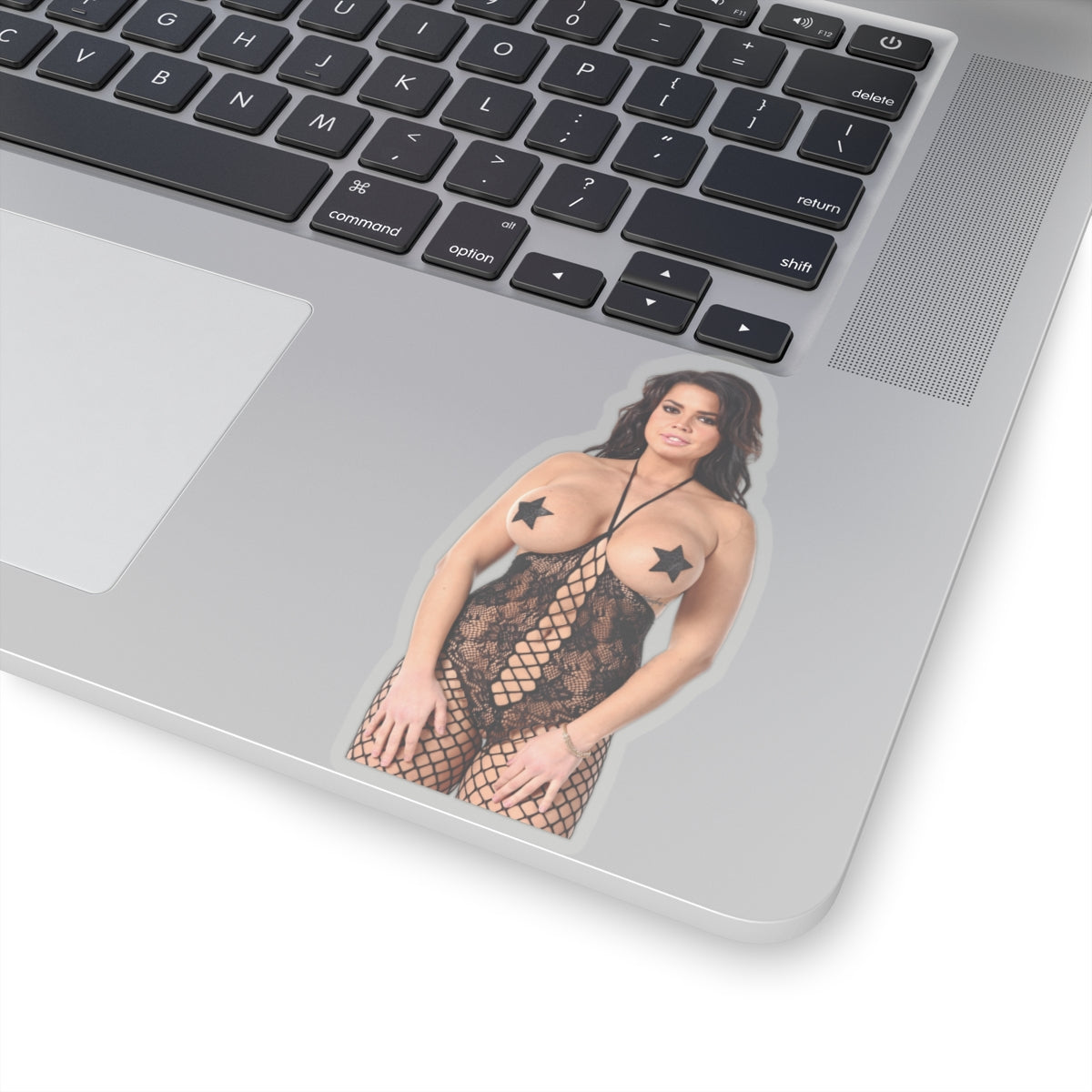 Pinup Model Sticker Adult Stickers Beautiful Women Hot Girl Stickers For Wall Laptops Fridge E693