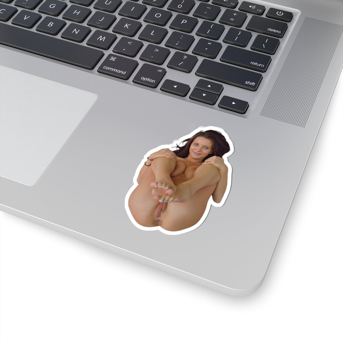 PRETTY GIRL STICKER HOT PINUP MODEL STICKERS
