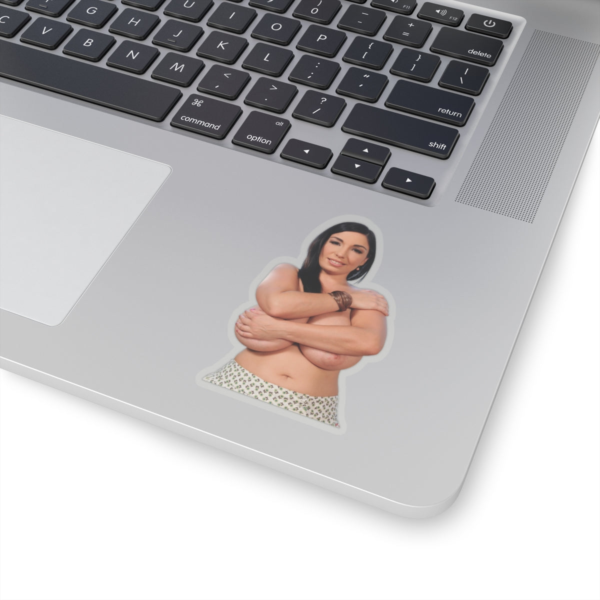 Busty Girl Vinyl Sticker Pinup Model Adult Decal Glamour Artwork
