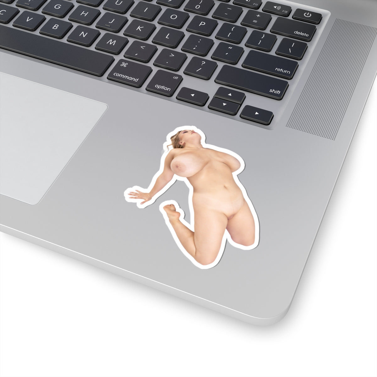 Big Tits Girl Sticker Naked Pinup Model Stickers