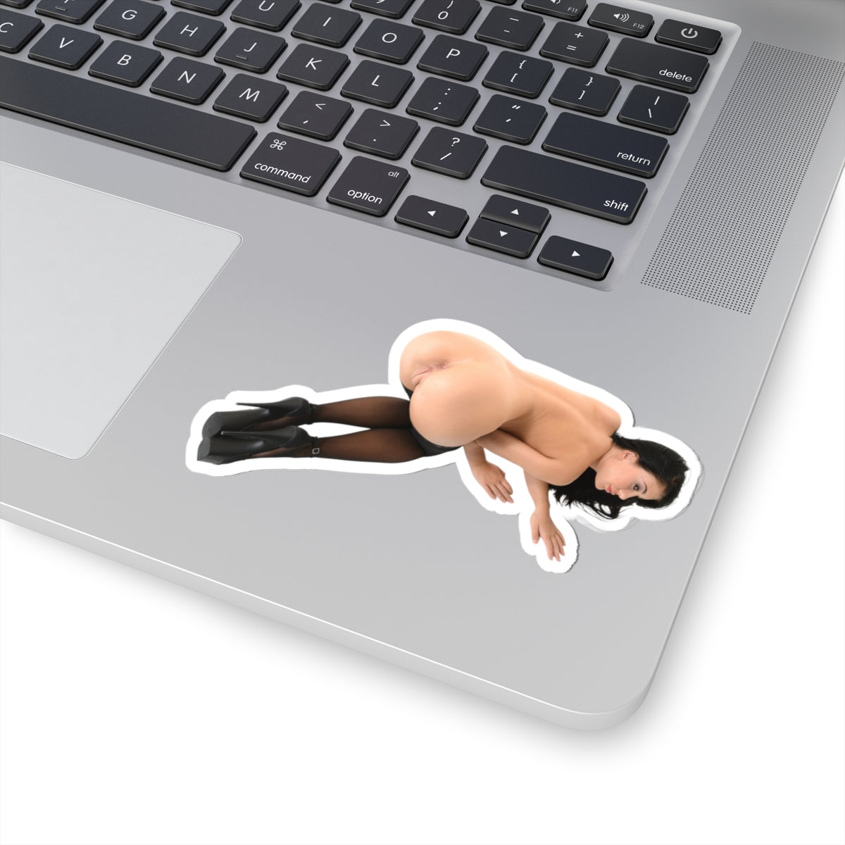 sexy brunette sticker big tits girl ass pinup model stickers
