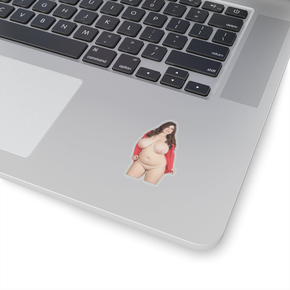 Huge Boobs Girl Sticker Large Tits Stickers Big Breast Decals