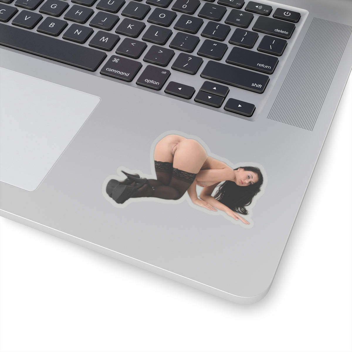 sexy brunette sticker big tits women botty stickers