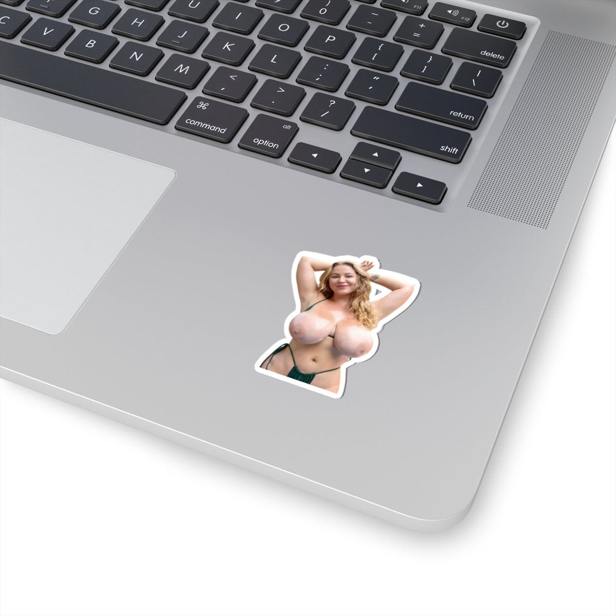 Busty Girl Big Tits Women Stickers