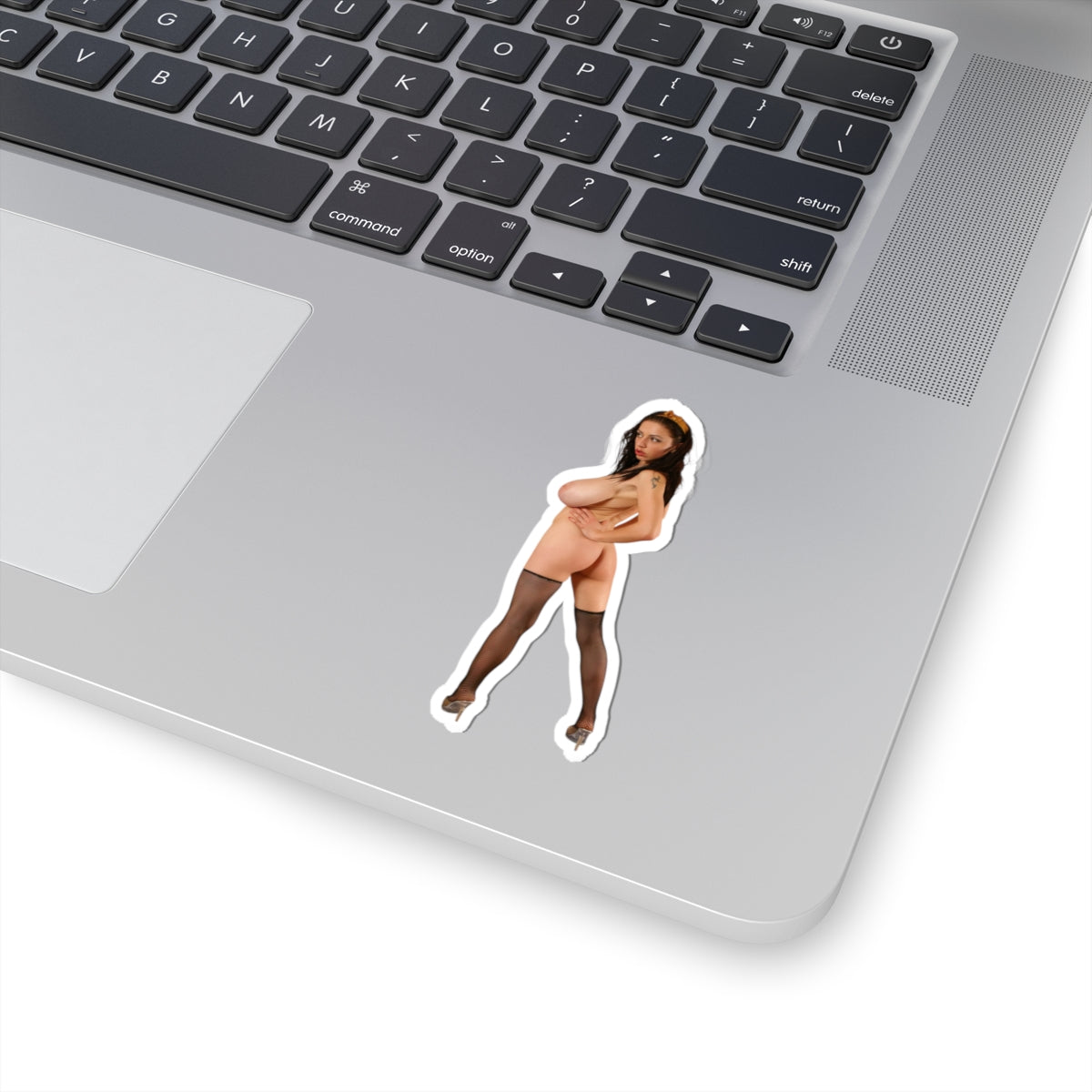 Erotic Pinup Decals Sexy Women Big Tits Girl Ass Sticker Mature Design