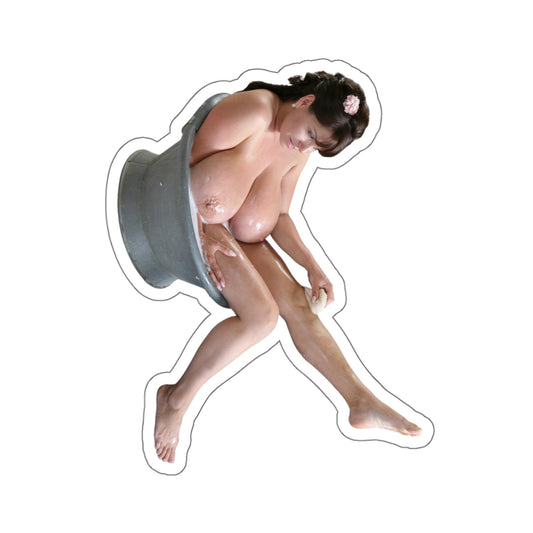 Beautiful Naked Women Sticker Girl Stickers Gift For Him Stickers For Men E947