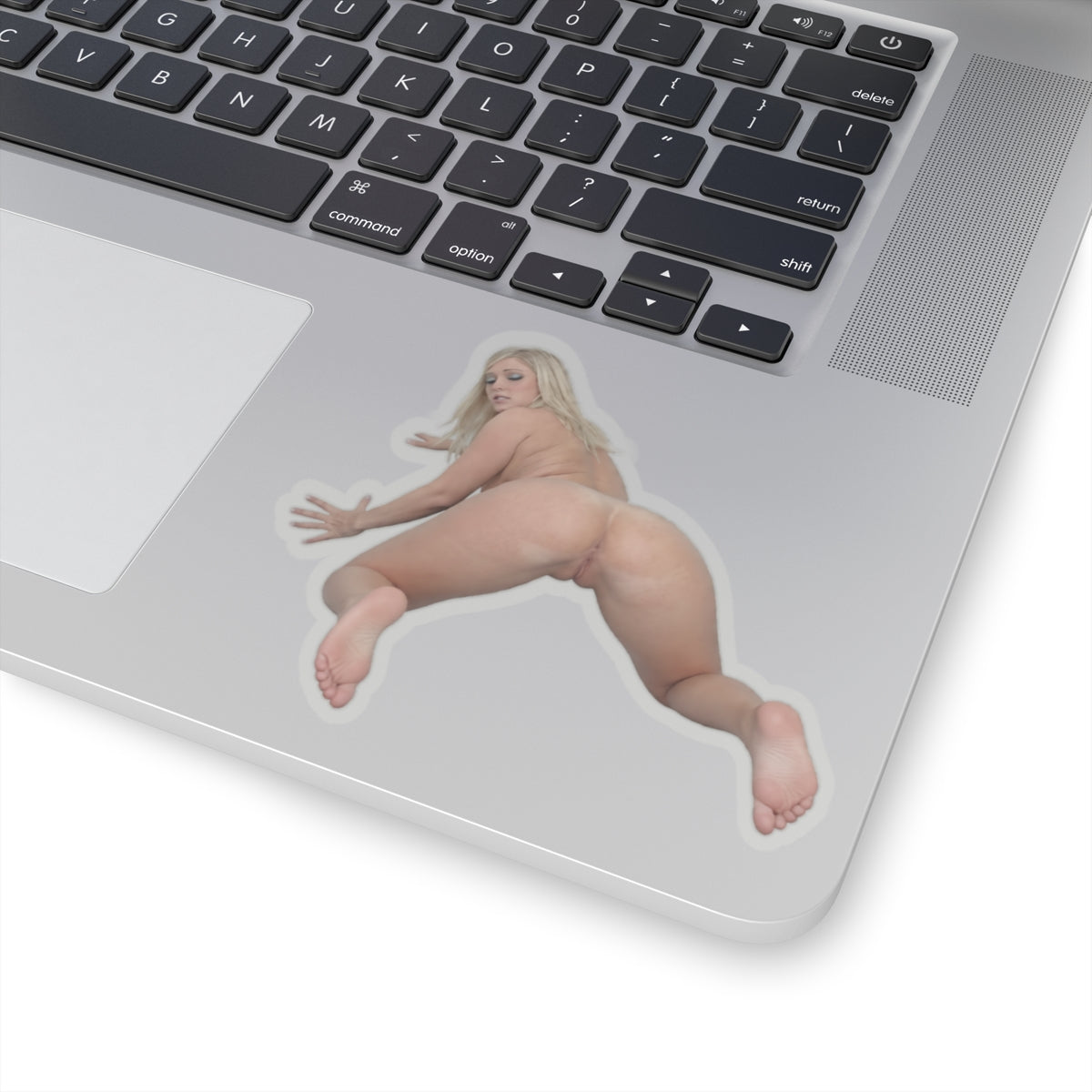 Naked Ass Girl Sticker