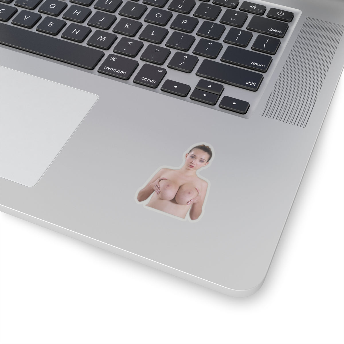 Naked Big Boobs Girl Sticker