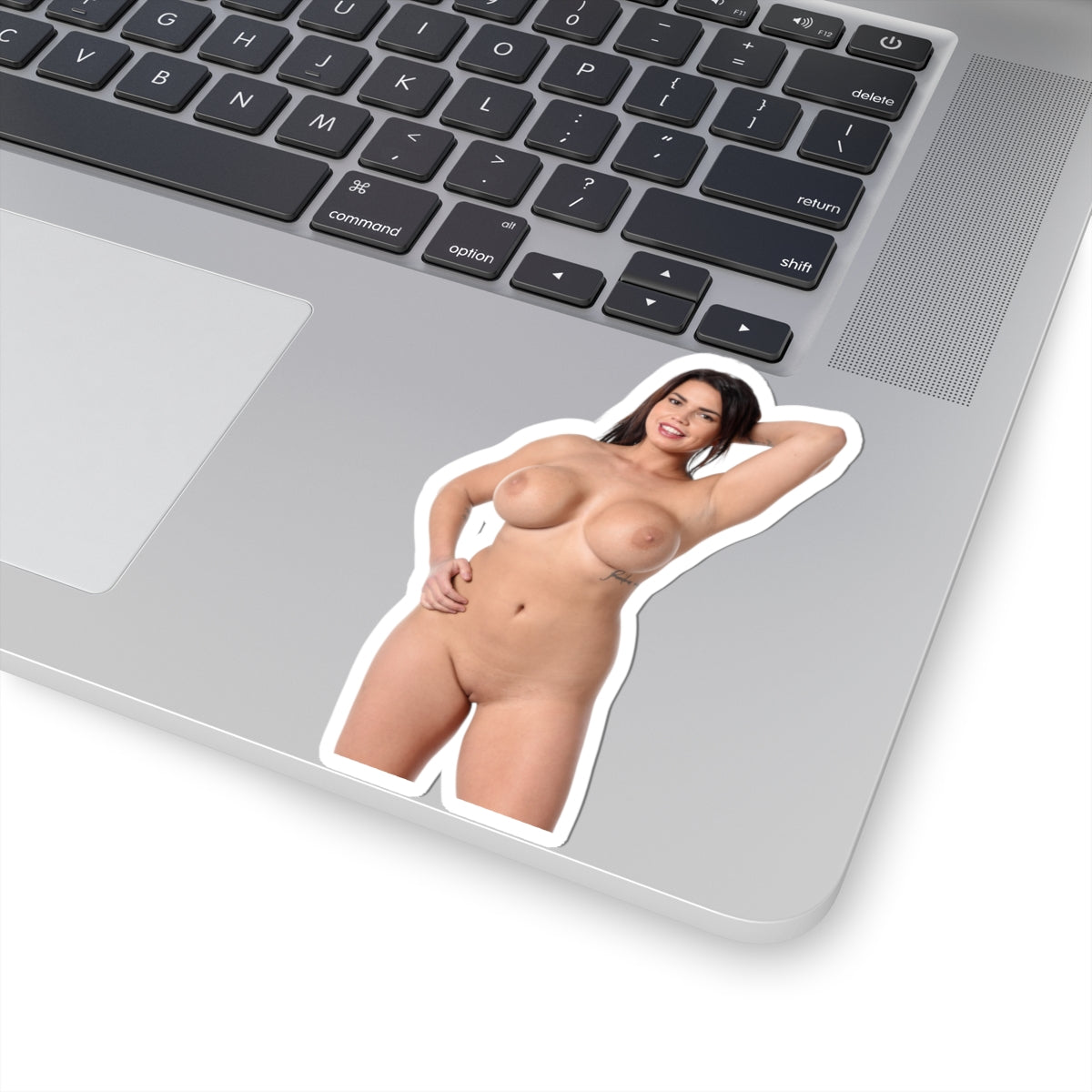 Beautiful Big Tits Girl Sticker