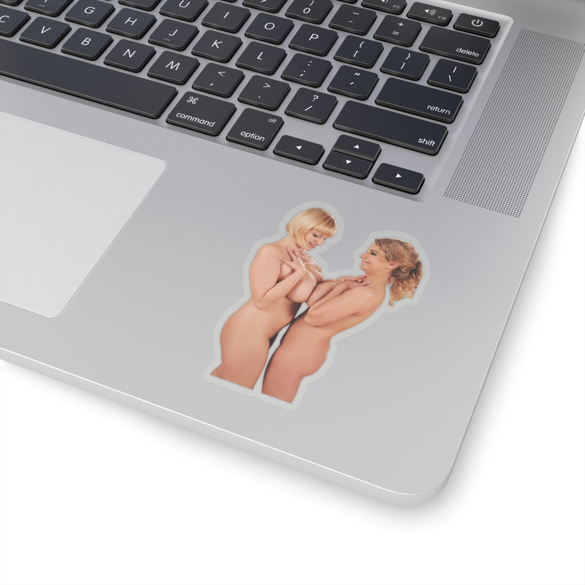 Two Sexy Girls Stickers Busty Pinup Model Decals