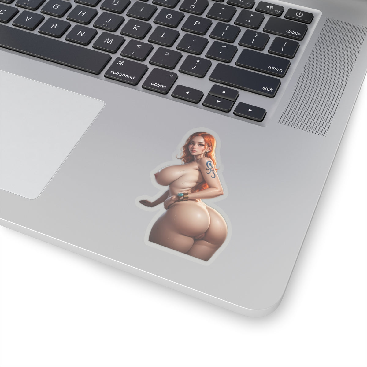 Adult Anime Sticker,Mature Stickers,Lewd Anime Stickers,Ecchi Anime Stickers,Naked Girl,Nude Women,Beautiful Female,4 Sizes Stickers,E343