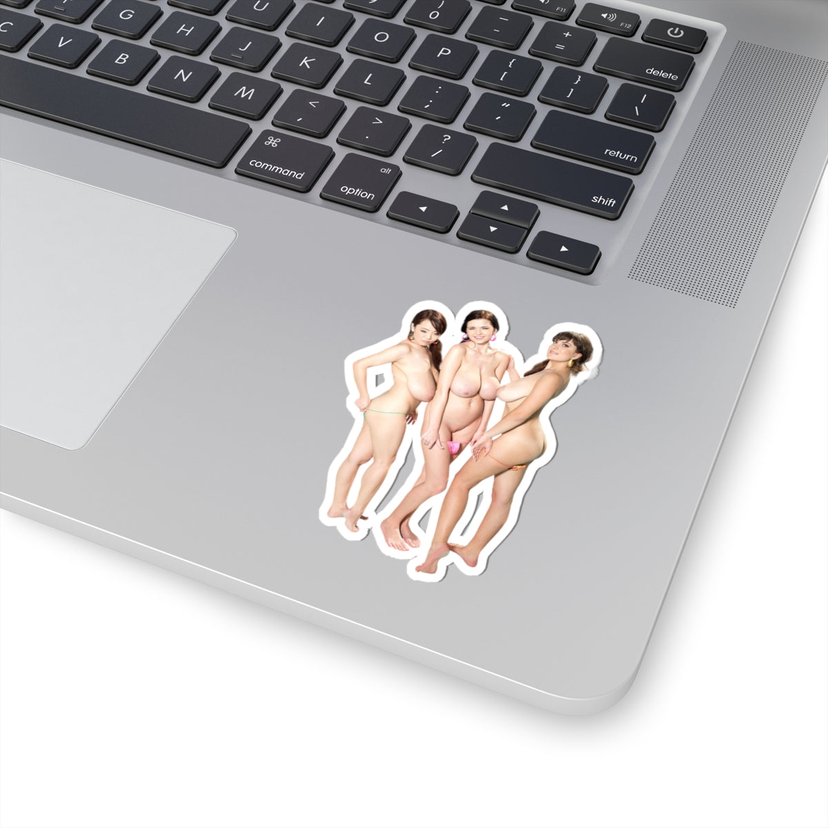 Sexy Girls Sticker Naked Big Tits Models Stickers