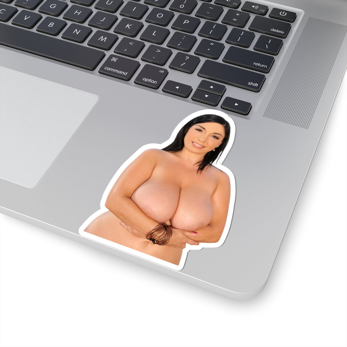 Curvy Woman Pinup Sticker Vinyl Decal Glamour Adult Artwork