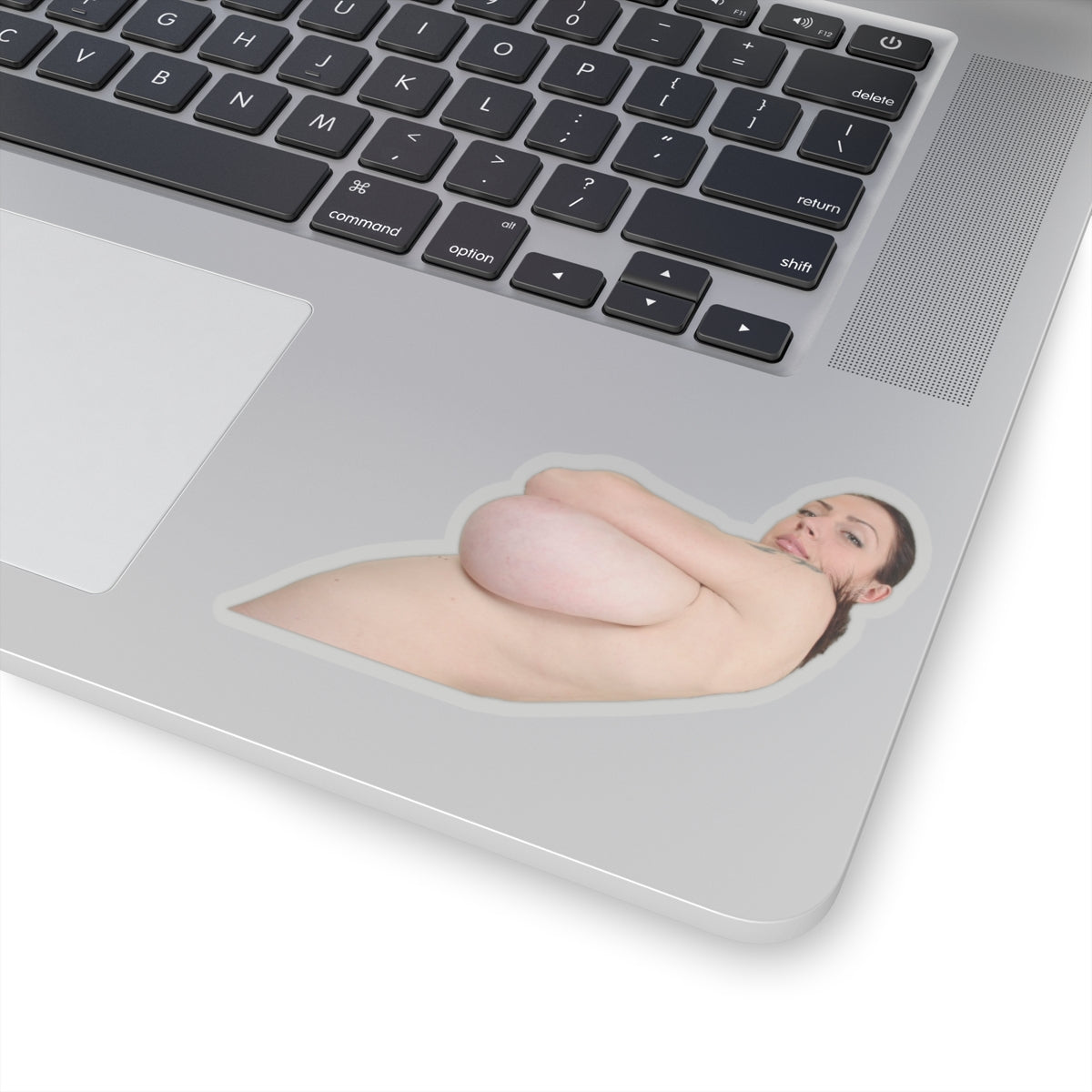 Big Tits Girl Sticker