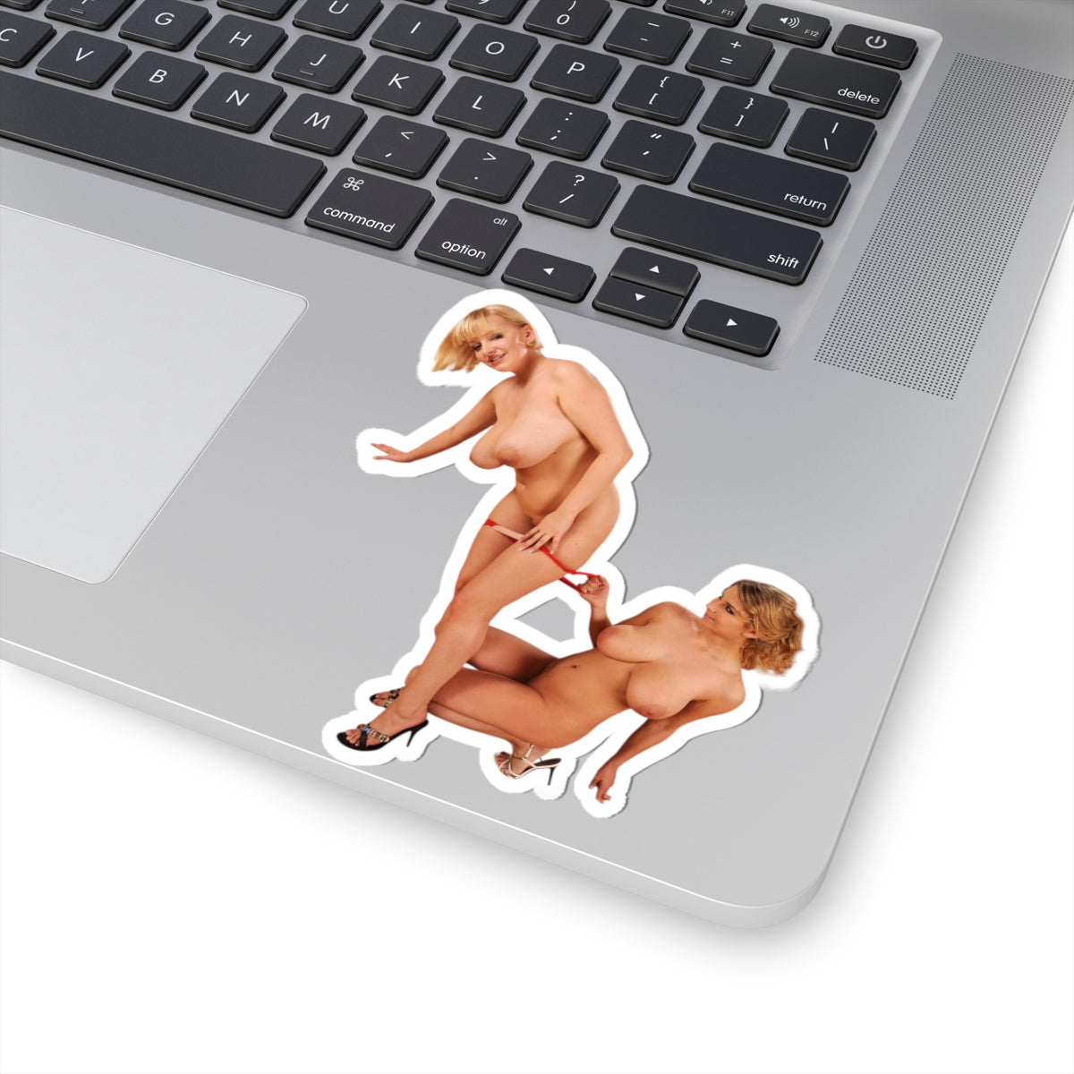 Two Busty Girls Stickers Glamour Woman Adult Decals