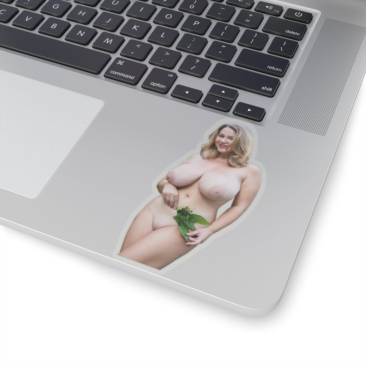 Big Tits Girl Sticker Pinup Model Adult Stickers