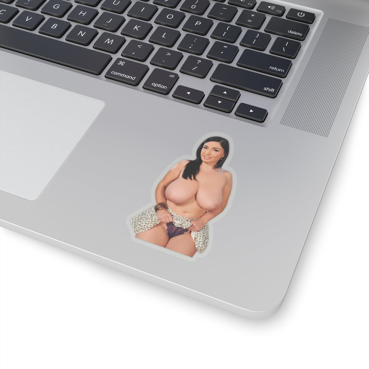 Sexy Pinup Model Vinyl Sticker Woman Decal Adult Art Design