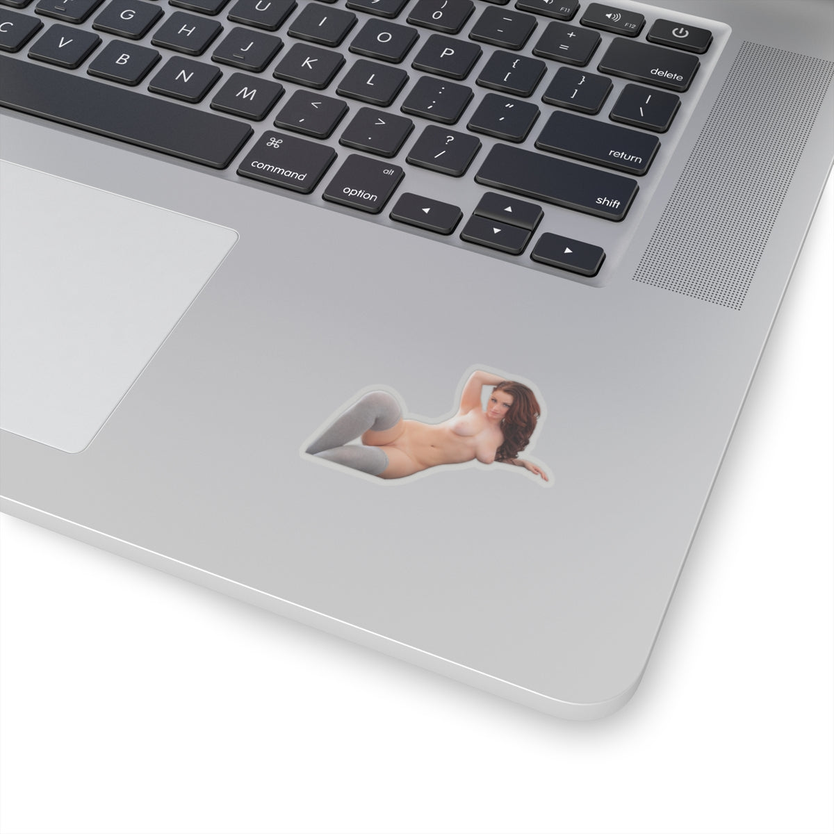 Sexy Girl Sticker Naked Pinup Model Stickers