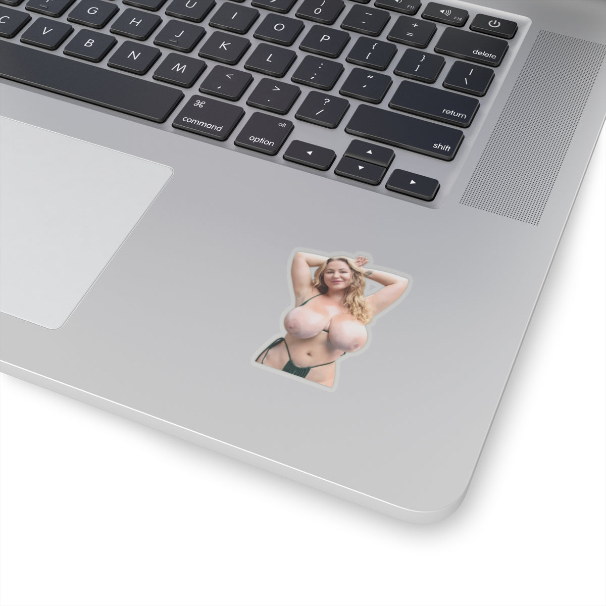 Busty Girl Big Tits Women Stickers