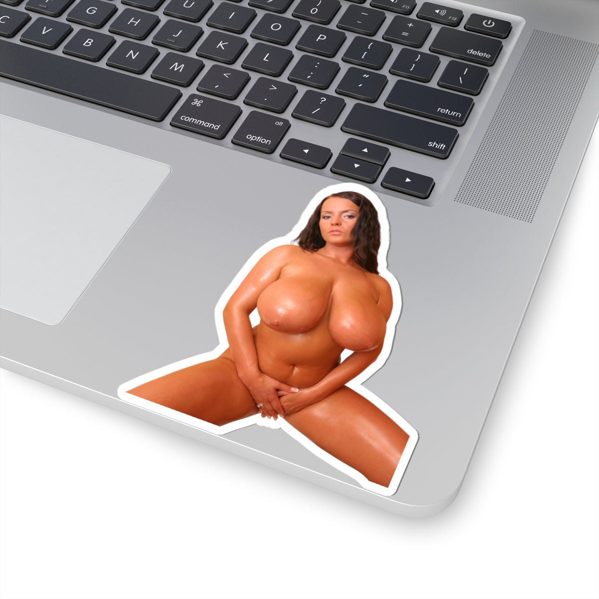 Big Boobs Tan Girl Sticker Nudes Naked Model Stickers