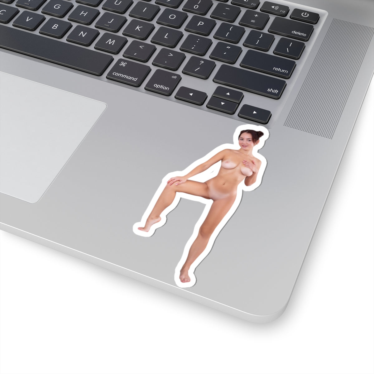 Pinup Stickers Sexy Naked Pretty Girl Sticker