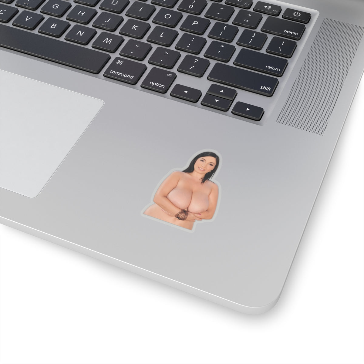 Curvy Woman Pinup Sticker Vinyl Decal Glamour Adult Artwork