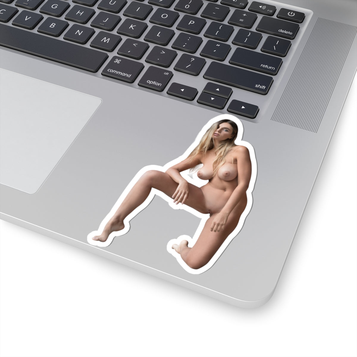 Hot Sexy Girls Sticker Only Stickers For Adults