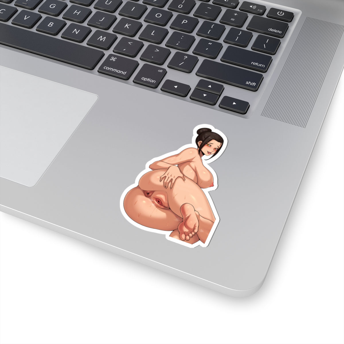 Hentai Sticker Anime Cartoon Manga Stickers