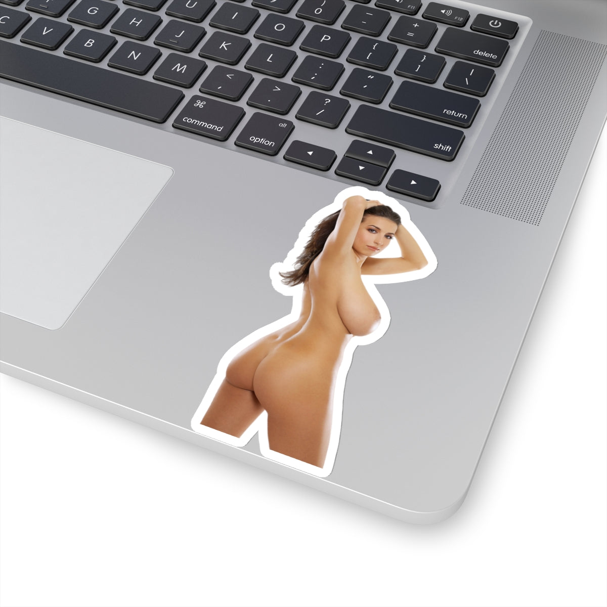 Nude Pinup Girl Beautiful Butt Women Sexy Naked Woman Adult Mature Sticker Vinyl Stickers E427