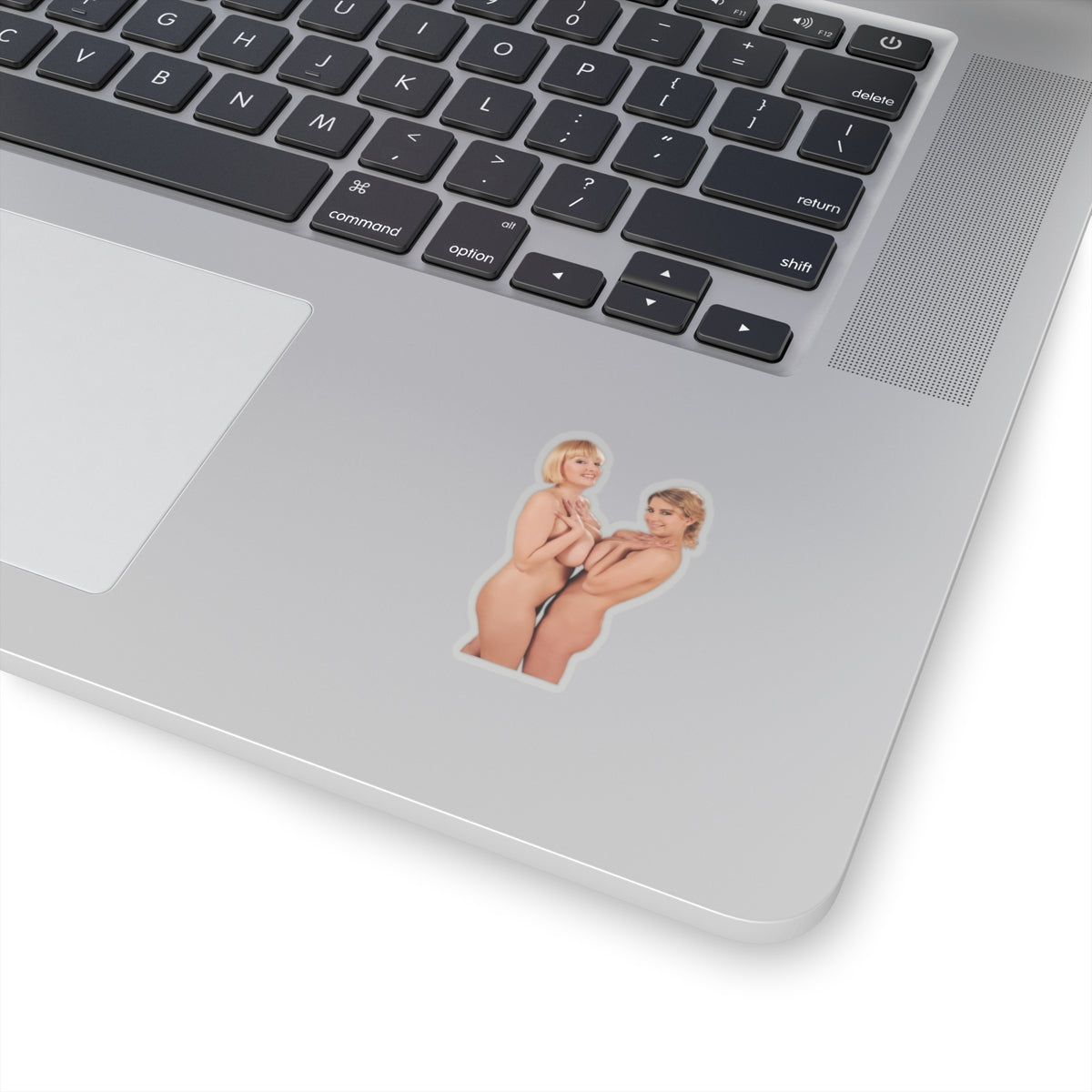 Big Boobs Pinup Girls Stickers Sexy Women Vinyl Art