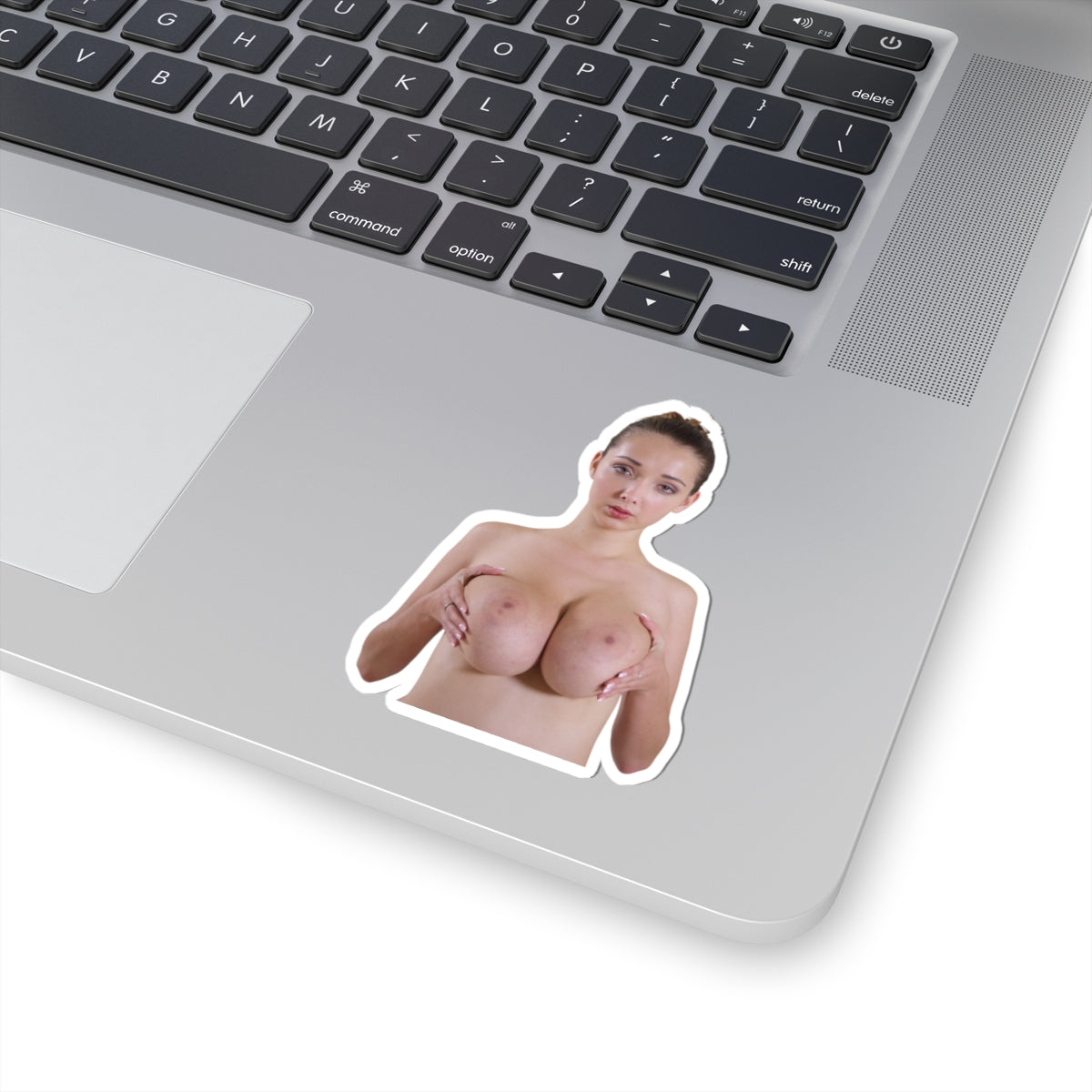 Naked Big Boobs Girl Sticker