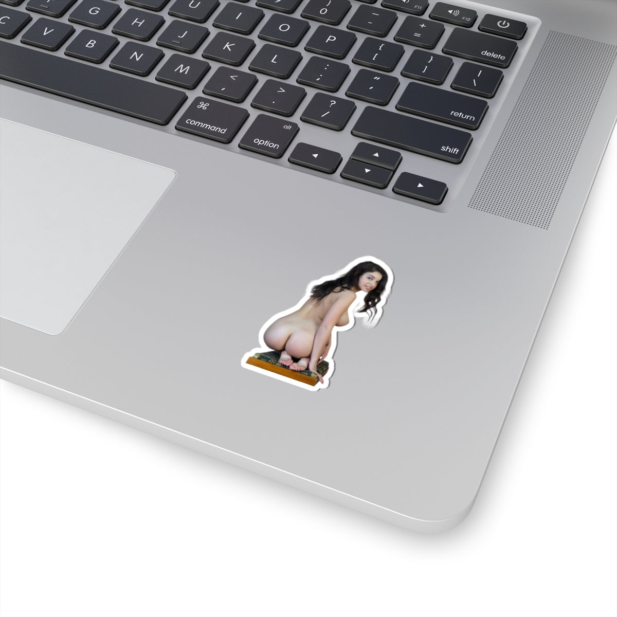 Adult Pinup Girl Sticker Sexy Nude Model Big Bust Vinyl Car Laptop Decal