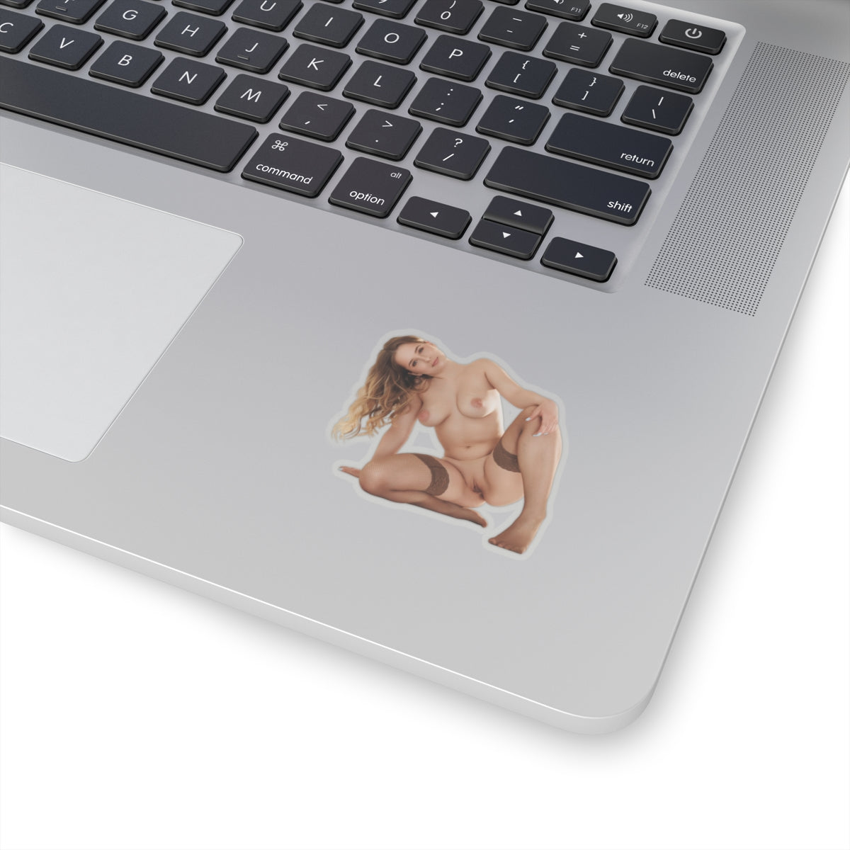 Sexy Girl Sticker Pinup Models Stickers
