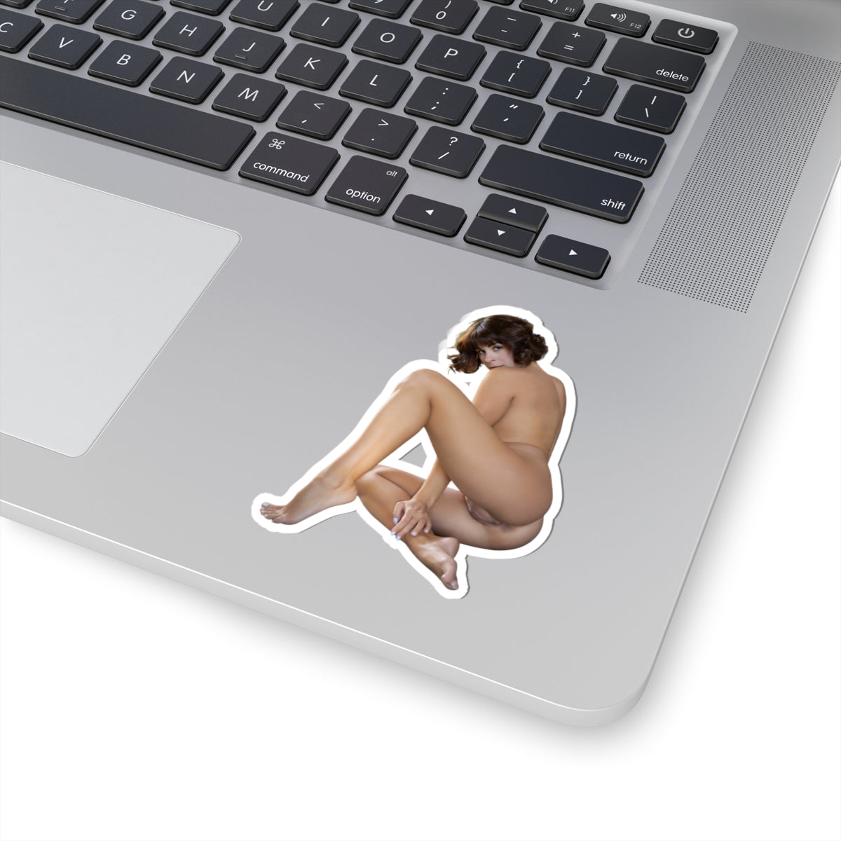 Hot Pinup Model Sticker Naked Ass Girl Stickers
