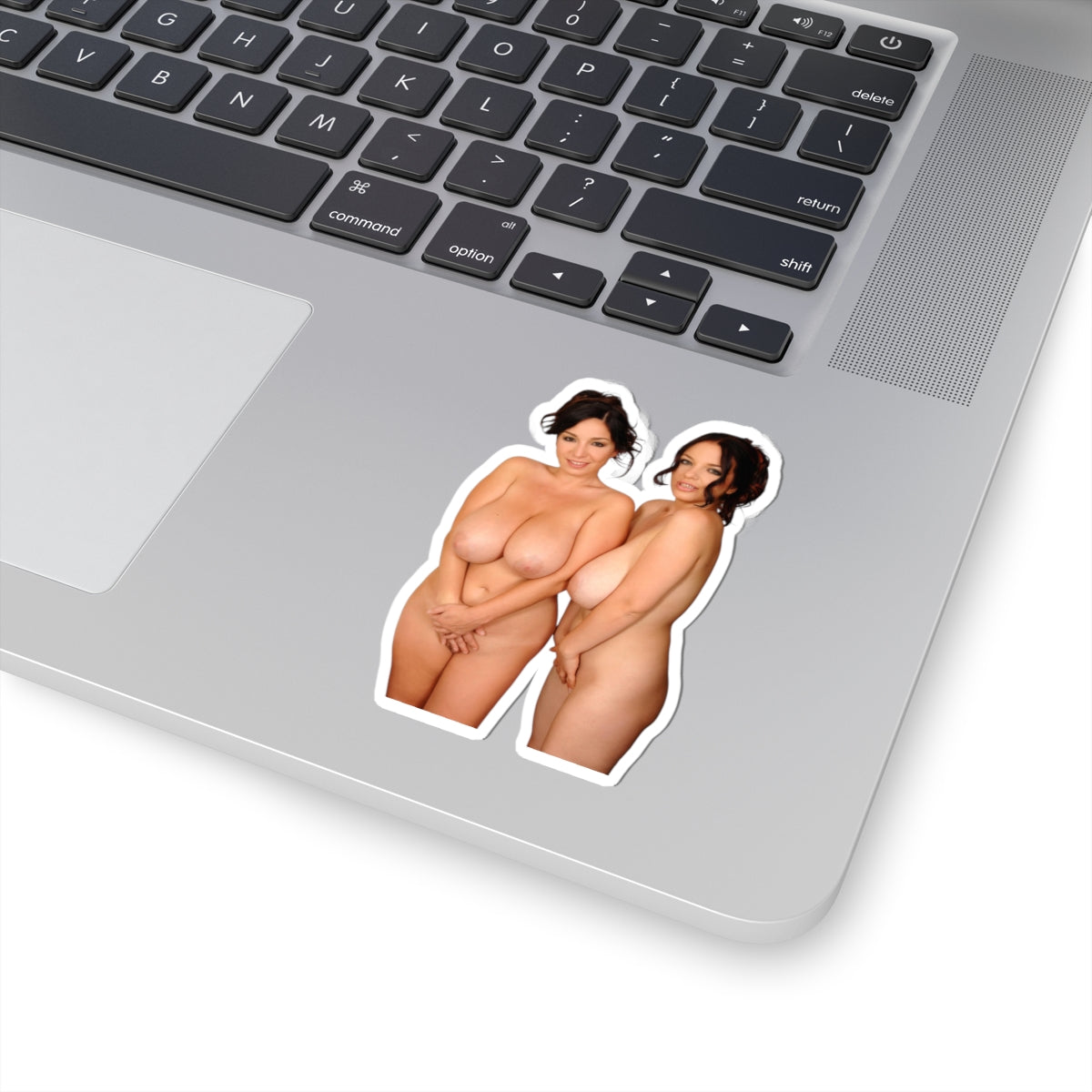 busty girls vinyl stickers