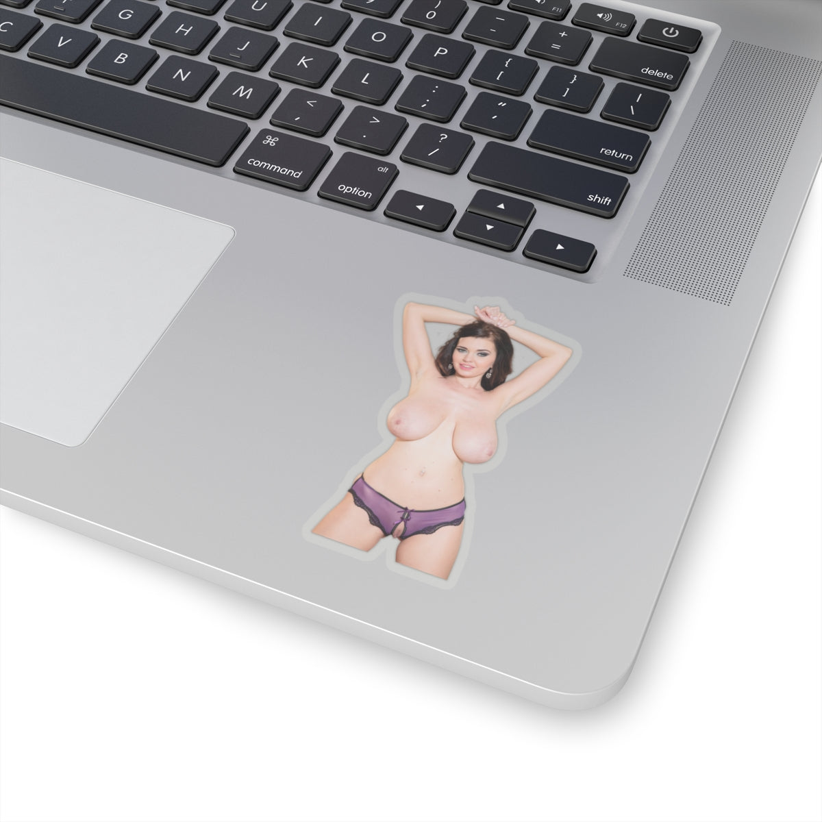 Big Breast Girl Sticker Adult Stickers