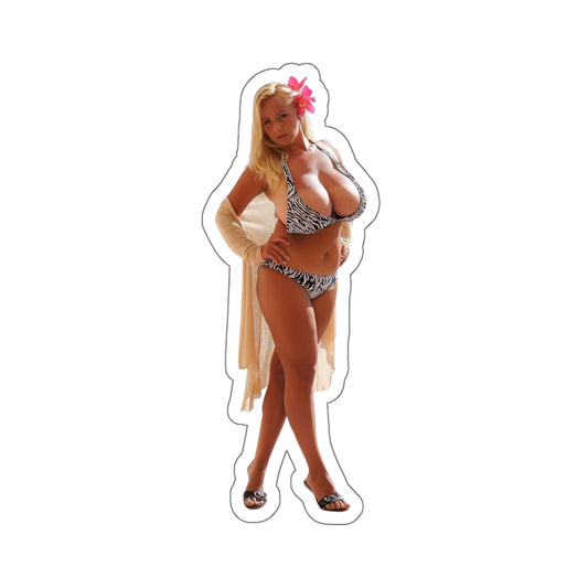 Pinup Sticker,vintage stickers,retro stickers,classic stickers,thick girl,thicc girl,curvy girl,busty women,wall stickers,hot girl,big sticker,sexy girls stickers,E754