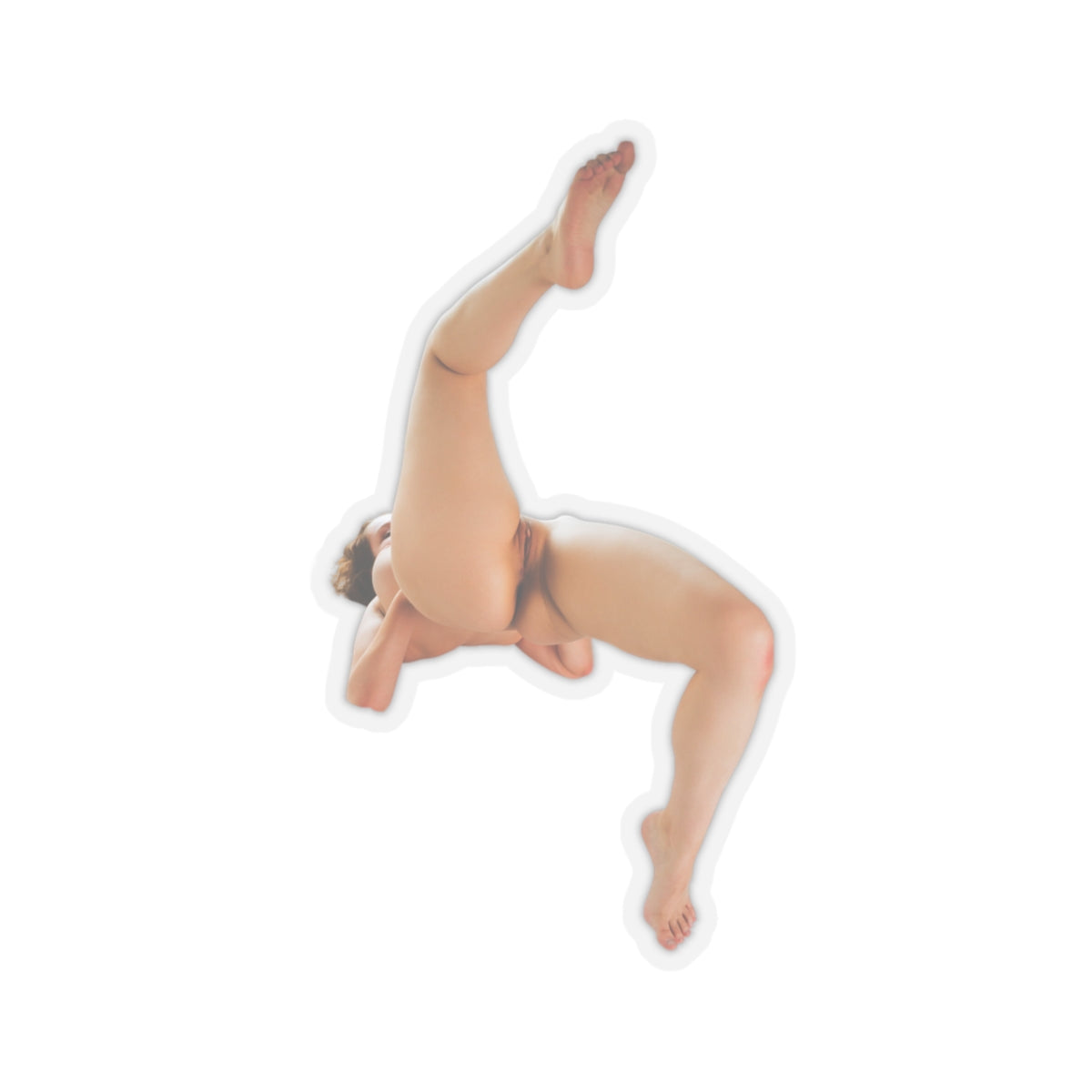 Pinup Sticker Hot Sexy Girl Stickers