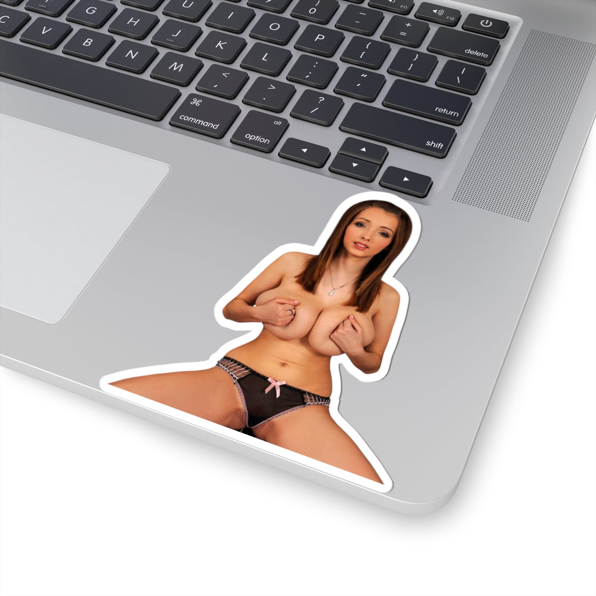 Big Breasts Pinup Girl Sticker