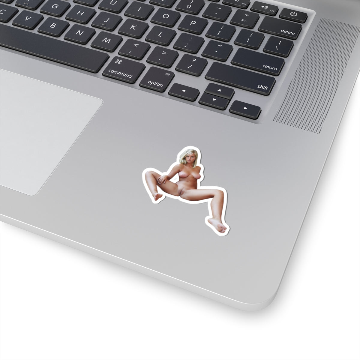 Sexy Pinup Girl Vinyl Sticker Adult Humor Decal